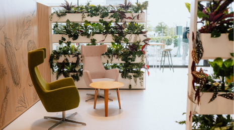 Gemütliche Sitzecke mit weißem und grünem Sessel